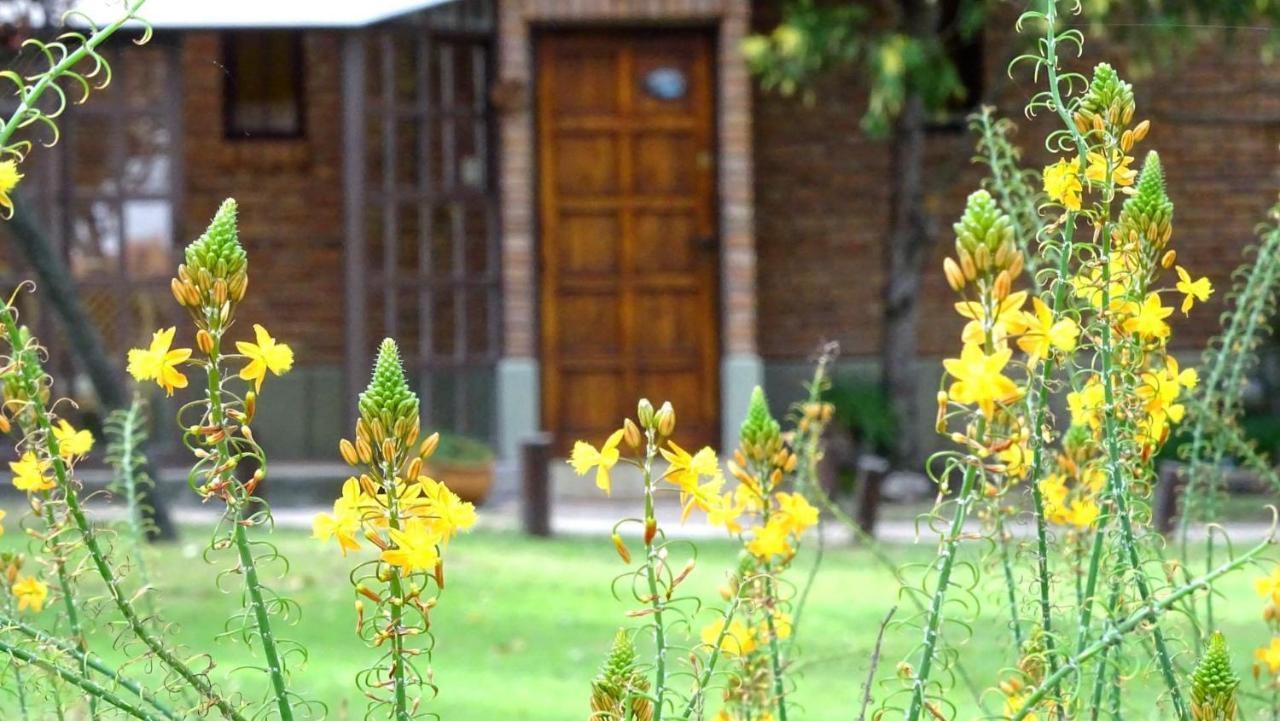 Cabanas Agua Que Brilla Mina Clavero Luaran gambar